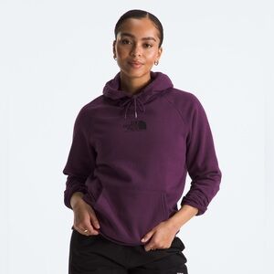 The North Face W Fine Alpine Hoodie